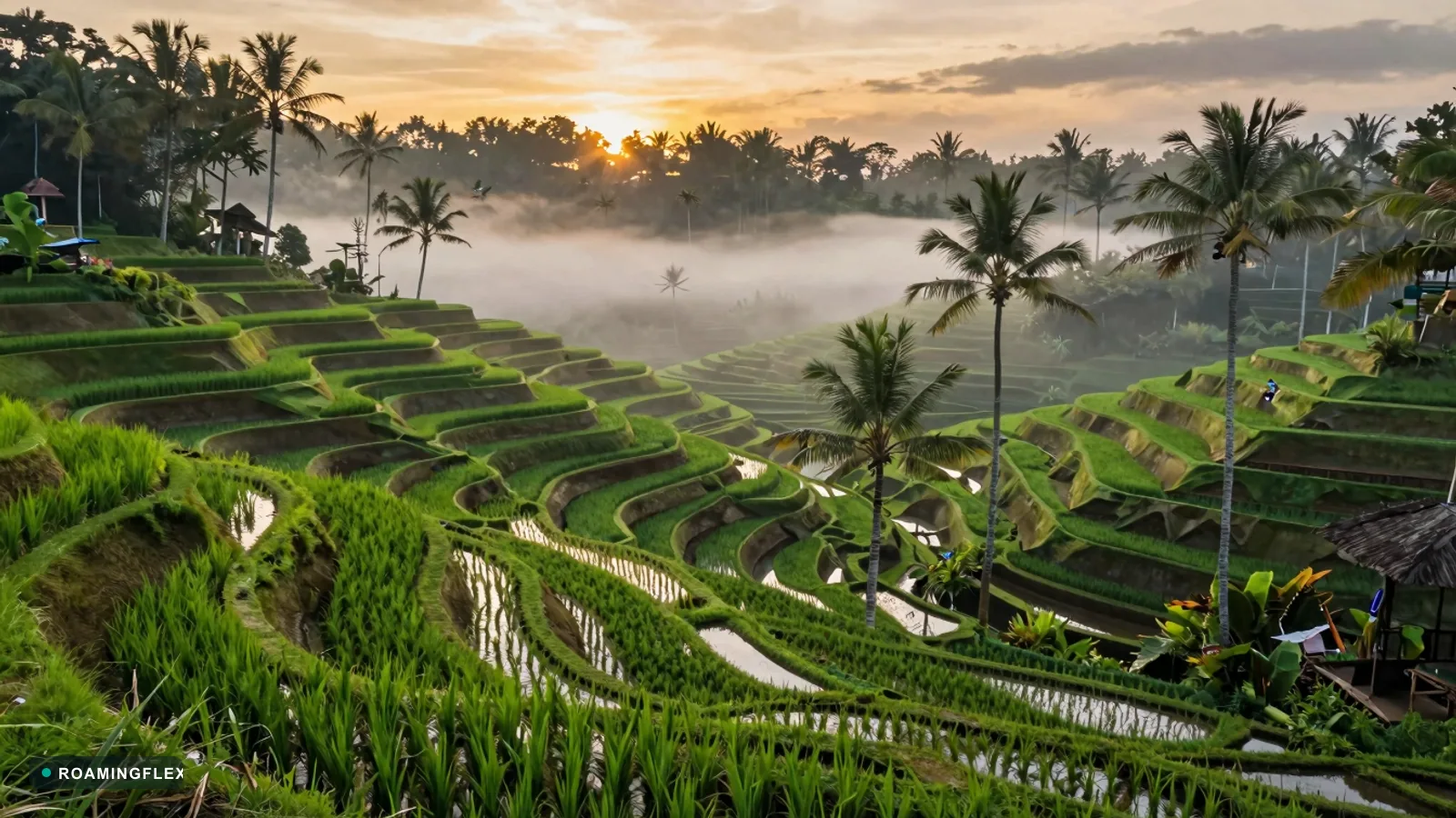 Tegalalang rice terraces at sunrise in Bali, Indonesia